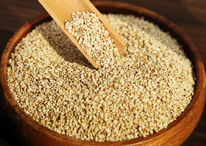 greece-eating-our-way-through-the-mainland